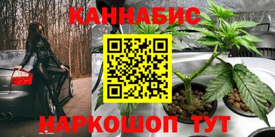 шишки Татарск