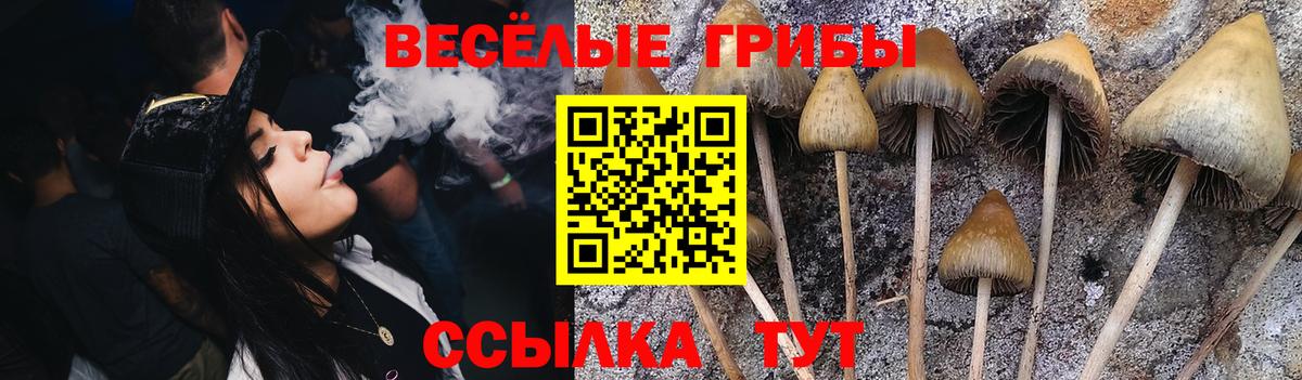 Псилоцибиновые грибы мухоморы Ростов-на-Дону